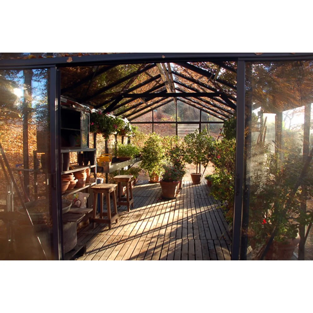 Thumbnail 12